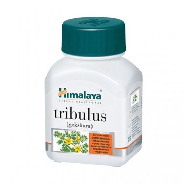 Tribulus - 60caps.