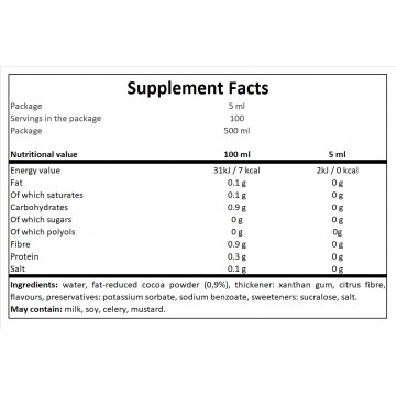 Syrup 0% - Chocolate - 500ml x12 - 2