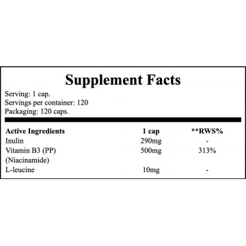 Niacyna (Vitamin B3) 500mg + L-leucyna - 120caps. - 2