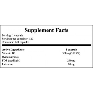 Niacin Vitamin B3 (PP) 500mg - 120caps. - 2