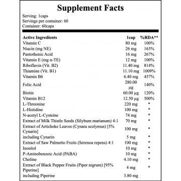 Multivitamin Surplus for Men - 60caps. - 2