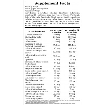 Fat Burn - 90caps. - 2